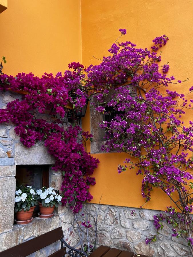 Casa Rural Los Campos Corao Exteriér fotografie